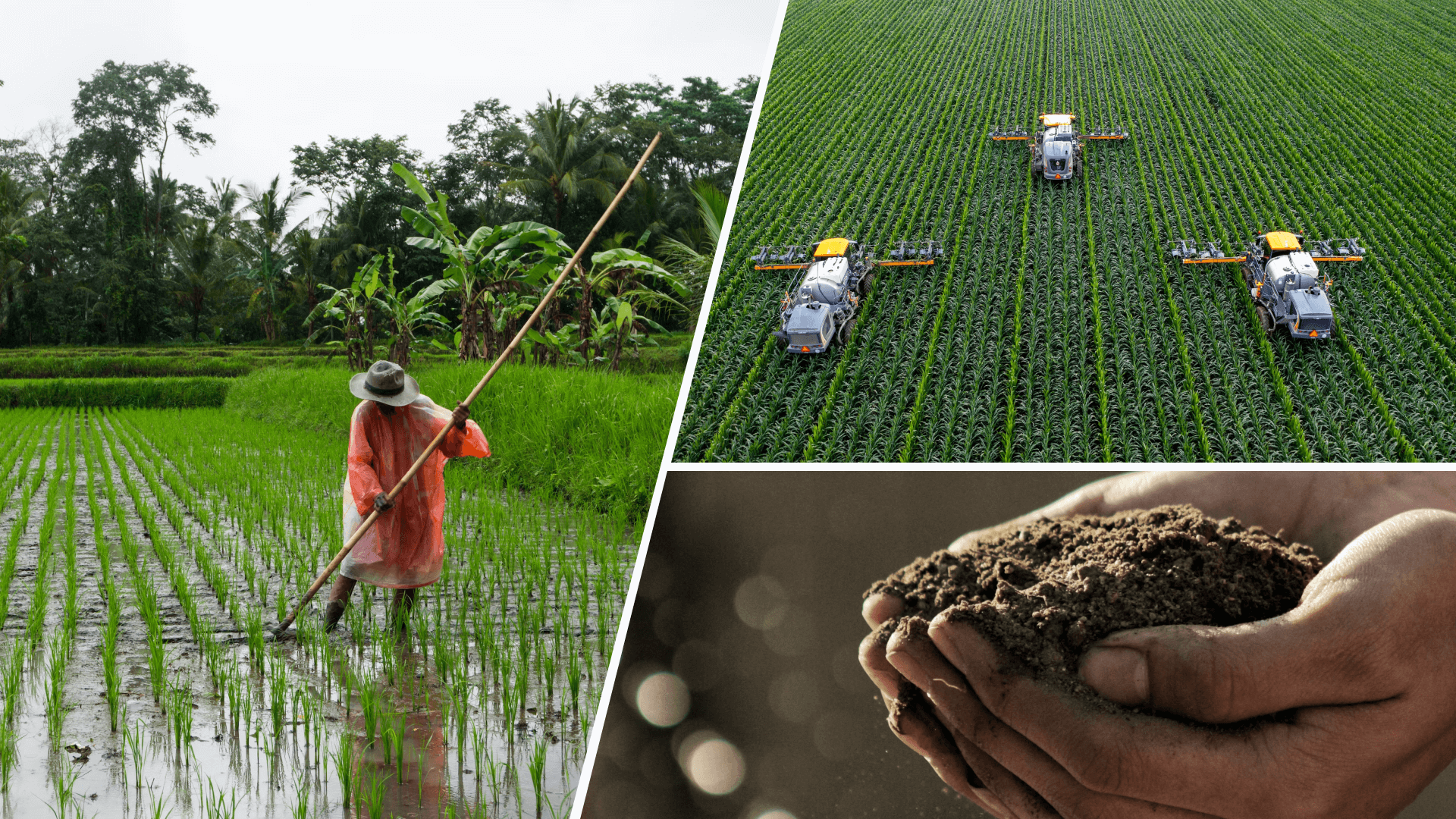 Shree Agri Tech Farm