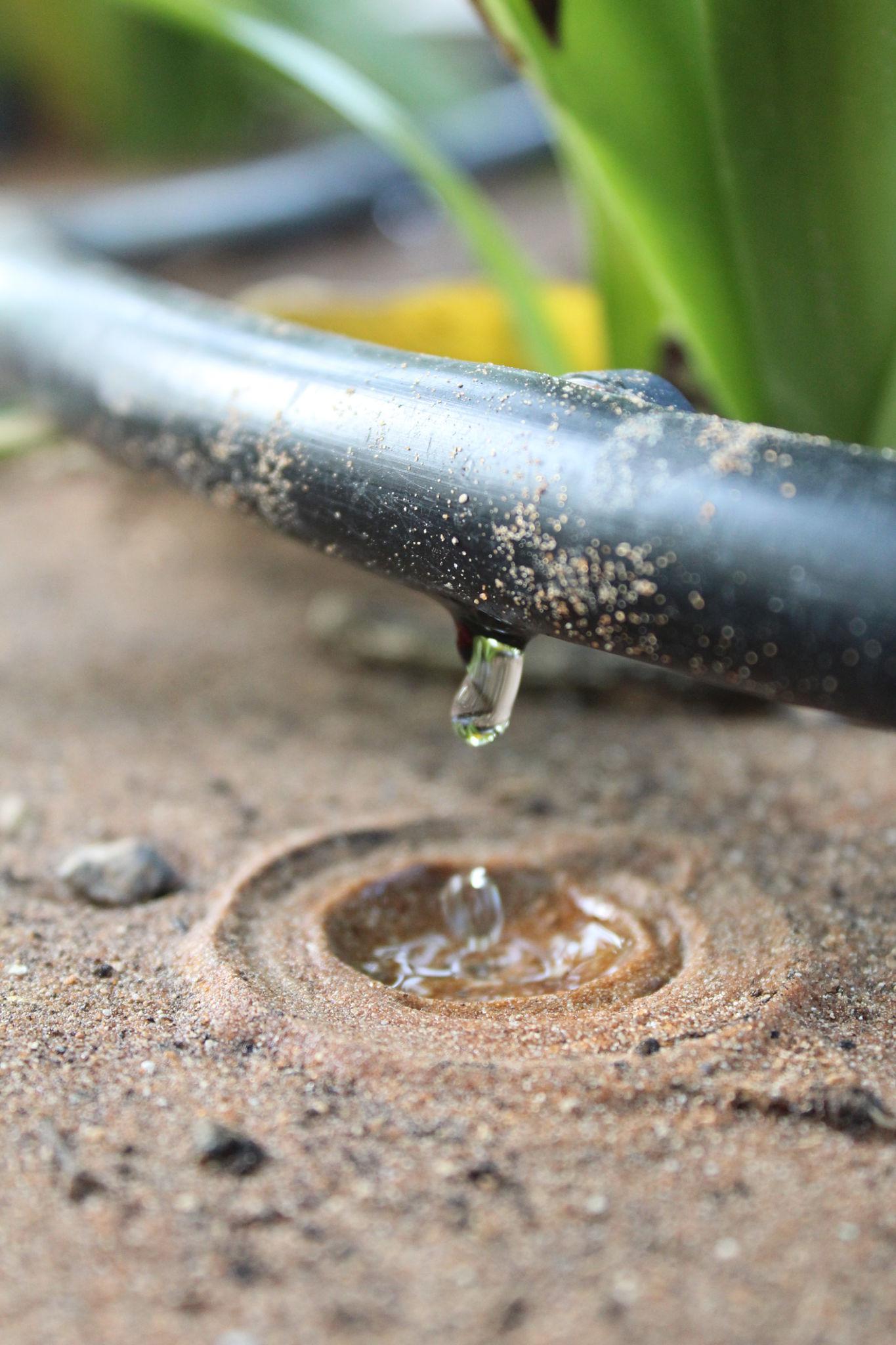 Drip 1